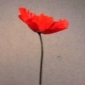 アコルデ神宮前