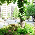 sR0061628
