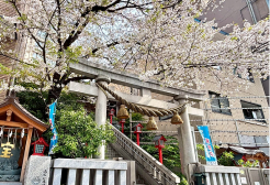 麻布・広尾