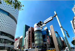 銀座・日本橋
