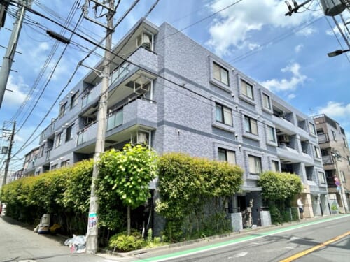 セザール碑文谷