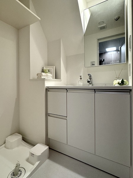 ディナ・スカーラ品川戸越_洗面化粧台の写真