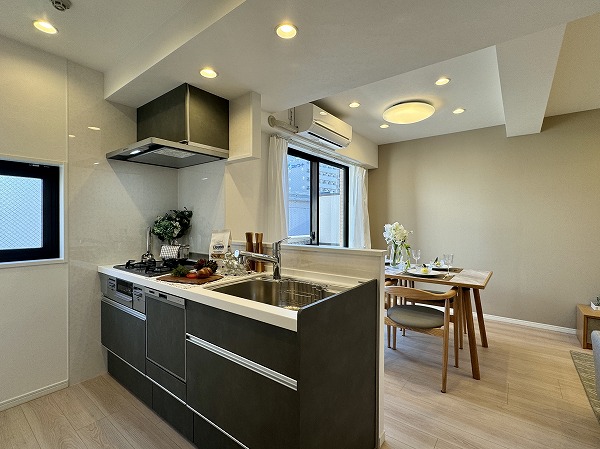 ディナ・スカーラ品川戸越_システムキッチンの写真