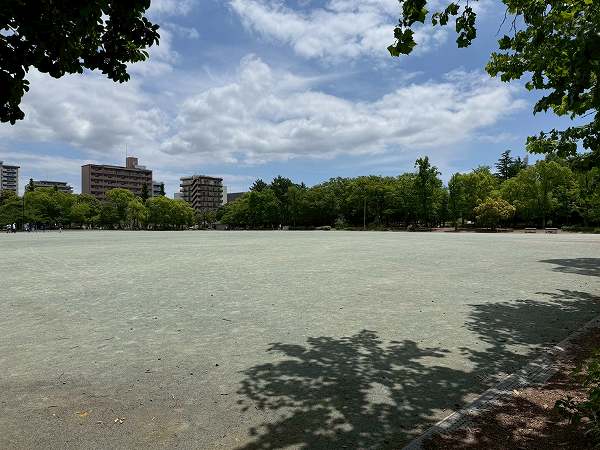 木場公園