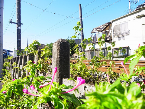 センチュリー三軒茶屋