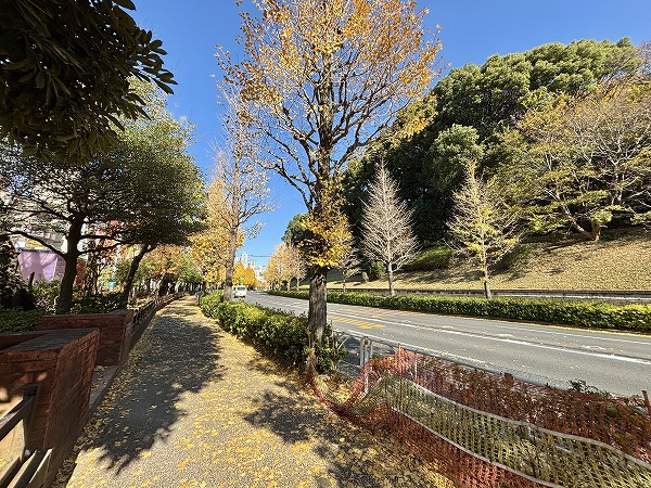 代々木公園駅周辺