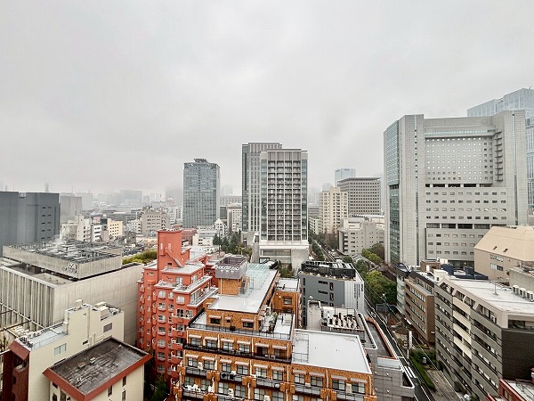 パークハウス平河町_バルコニーからの眺望の写真