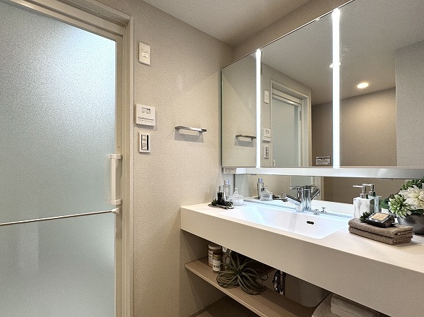 大崎ウエストシティタワーズE棟_洗面化粧台の写真