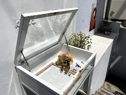 代官山フラッツ ハイアーグラウンド 東京 中古マンション リノベーション 仲介手数料無料 代官山フラッツ ハイアーグラウンド 東京 中古マンション リノベーション 仲介手数料無料