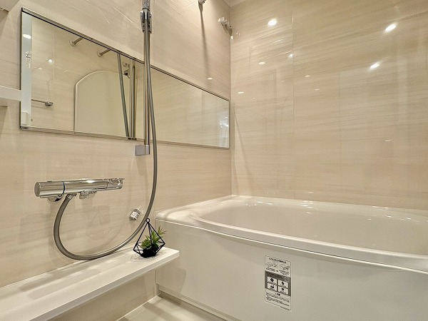 ディオレ西新宿_バスルームの写真