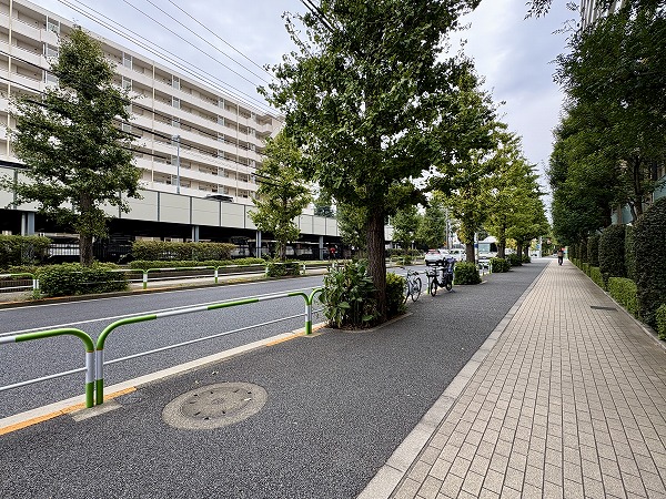 マンション前　イチョウ並木