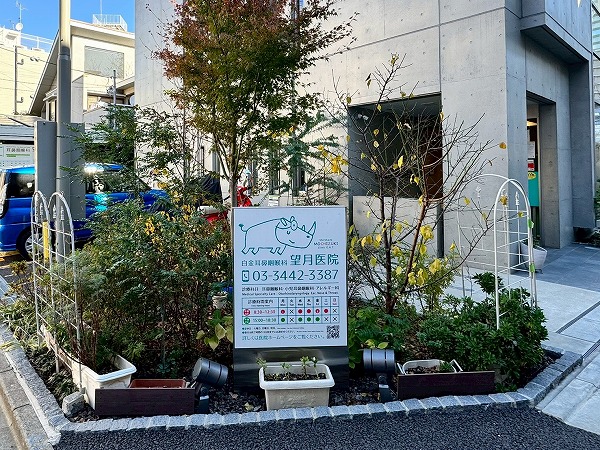 白金耳鼻咽喉科　望月医院