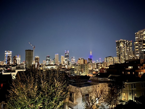 ロイヤル白金ガーデン_眺望夜景の写真