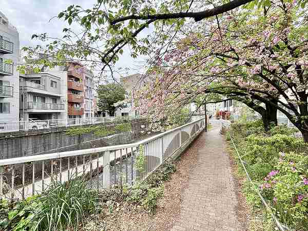 神田川