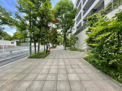 センチュリーフォレストまでの道のり