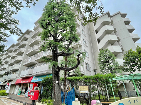 東急ドエルアルス石川台A棟