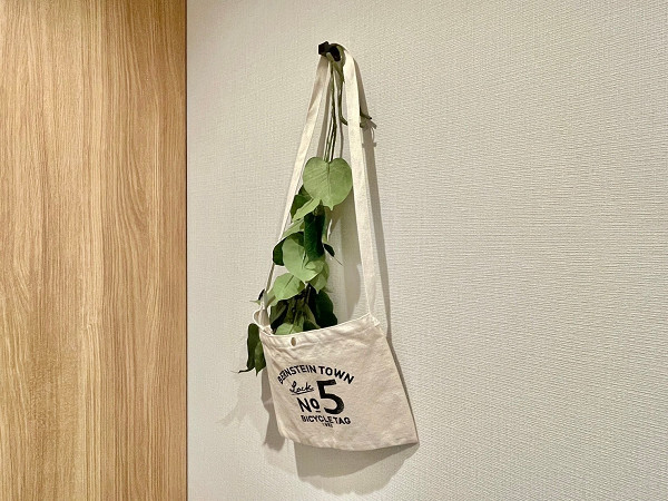 玄関の設備