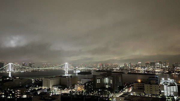 ワールドシティタワーズアクアタワー_夜景の写真