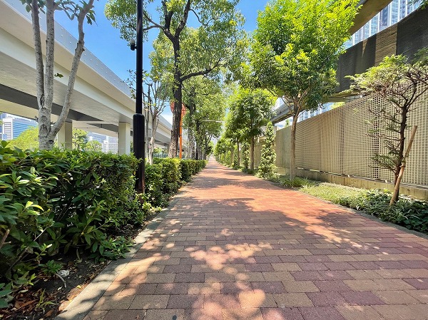 マンション周辺の道