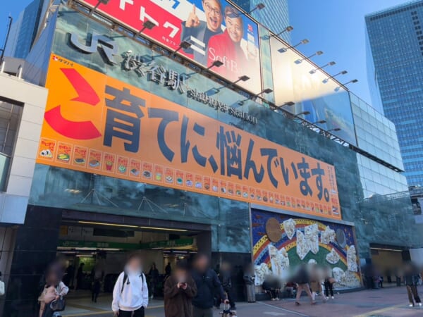 イトーピア渋谷桜ヶ丘　1R