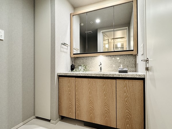 ブランズ麻布狸穴町_ナチュラルな洗面化粧台の写真