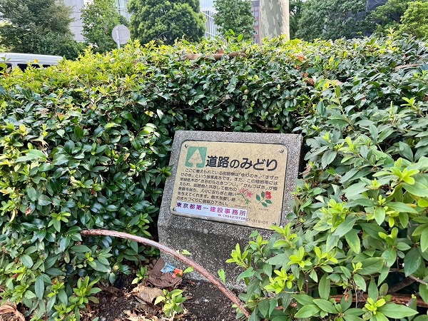 パークコート青山ザタワー道中