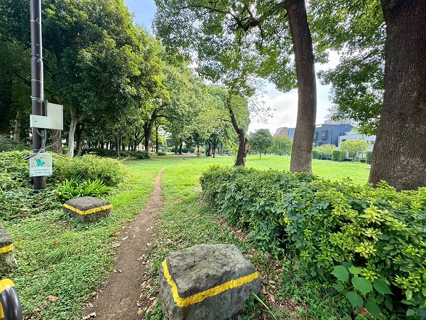 芝生広場