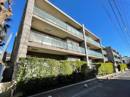 アデニウム大森山王