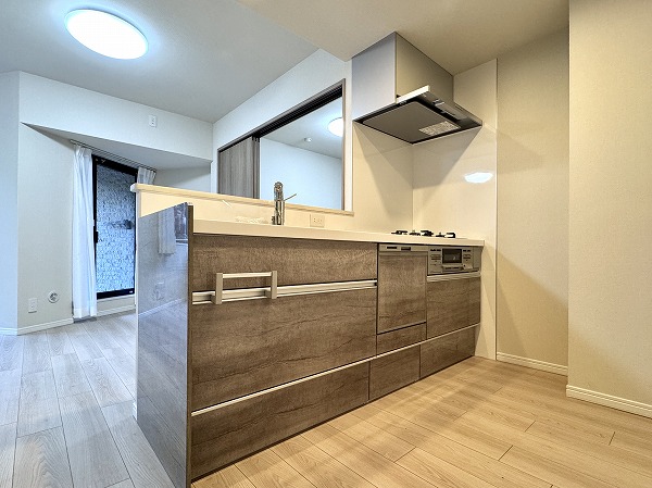 パレ・プラス大井町_システムキッチンの写真