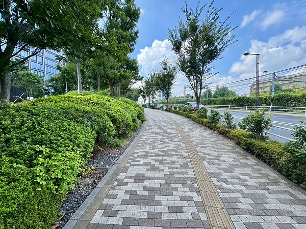 スカイフォレストレジデンス_前面道路の写真