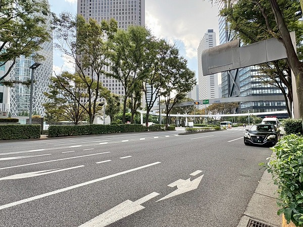 東通り