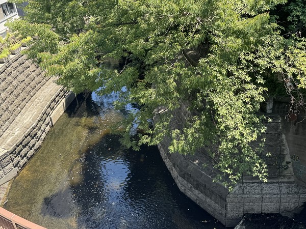 渋谷橋