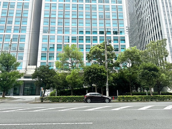 海岸通り