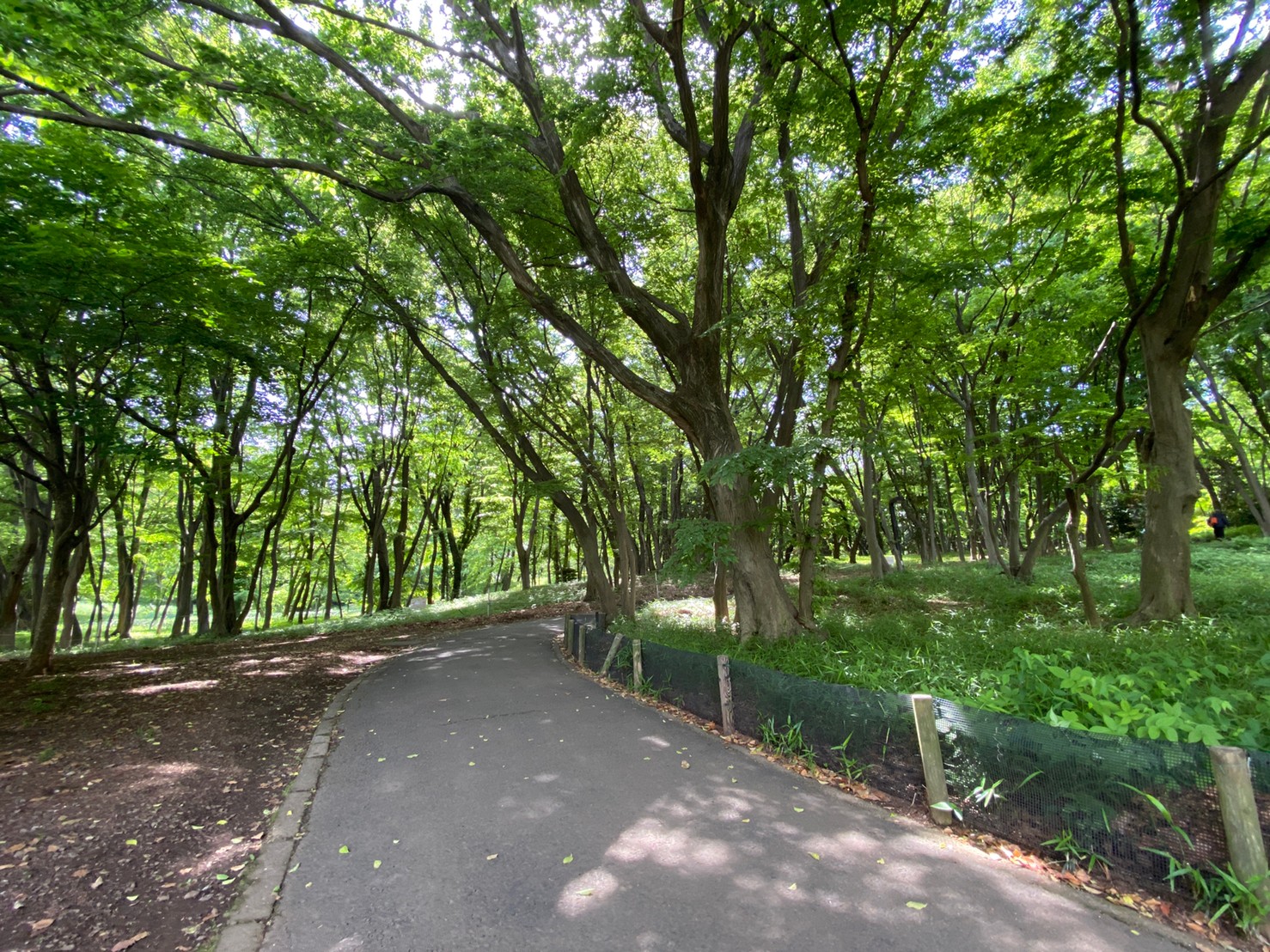 代々木上原・代々木公園・駒場