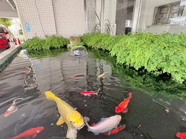 ライオンズマンション経堂第2　生簀