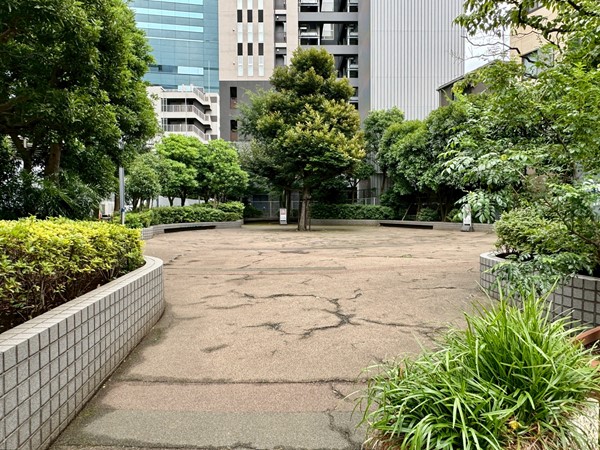マンション裏手の広場