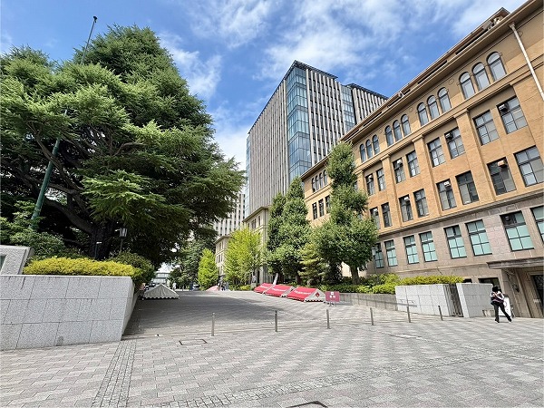 早稲田大学
