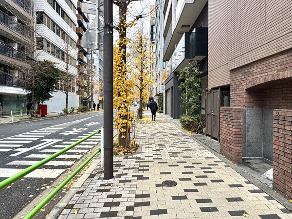 マンション前の通り