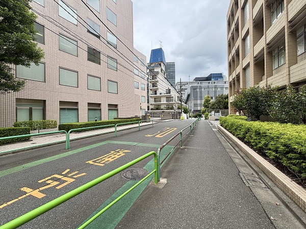 マンションまでの道