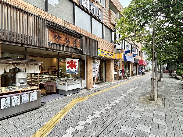 駅前の桜並木