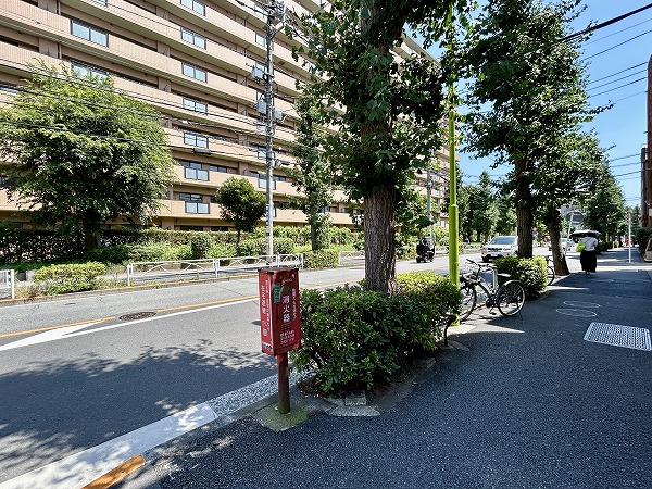駒沢公園通り