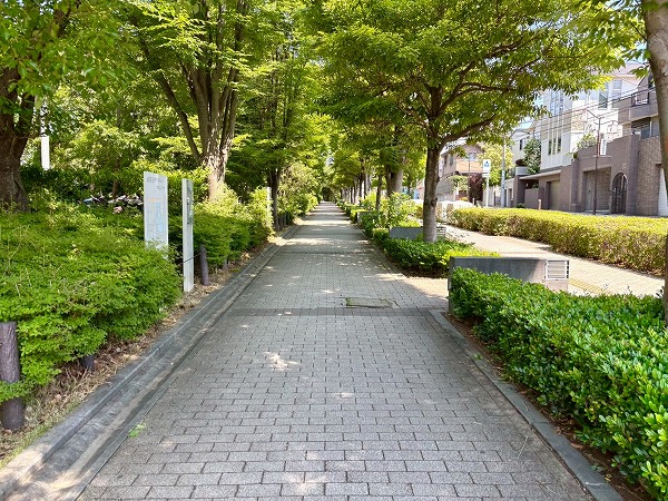 柿の木坂通り　公園横