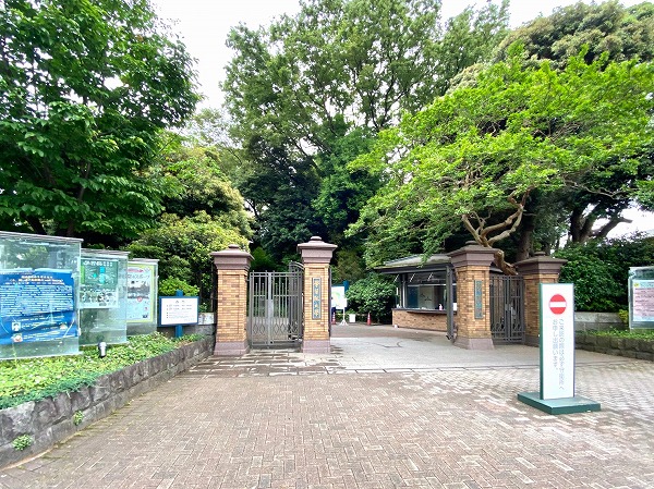 学習院大学