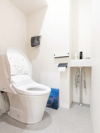 朝日広尾マンション_シンプルなトイレの写真