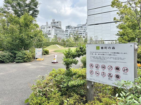 番町の森