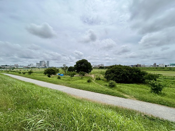 多摩川緑地