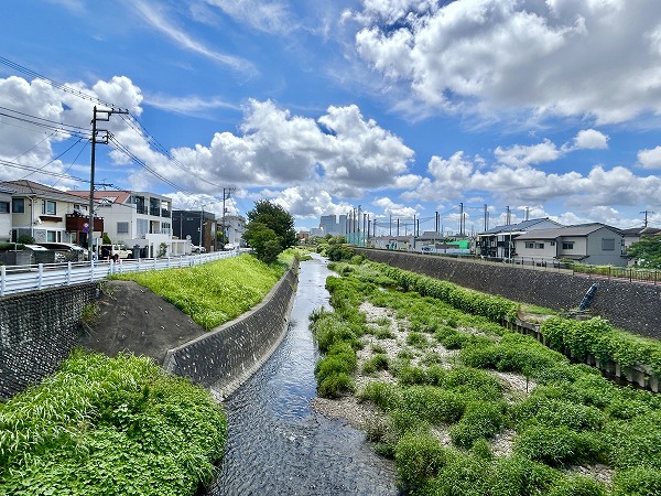 野川