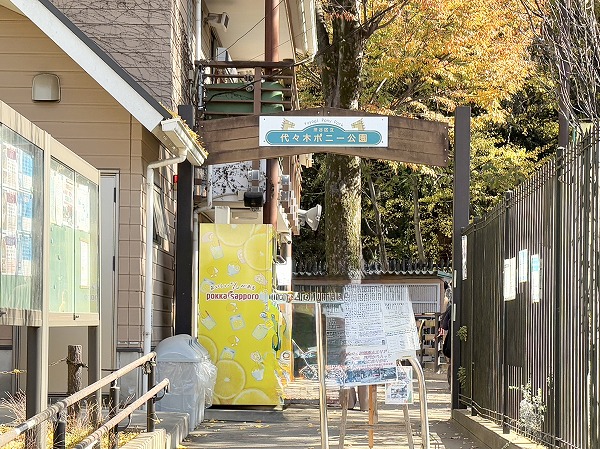 代々木ポニー公園