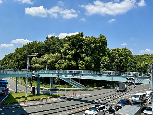 砧公園