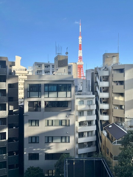 シティタワー麻布十番_眺望の写真